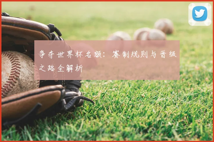 争夺世界杯名额：赛制规则与晋级之路全解析