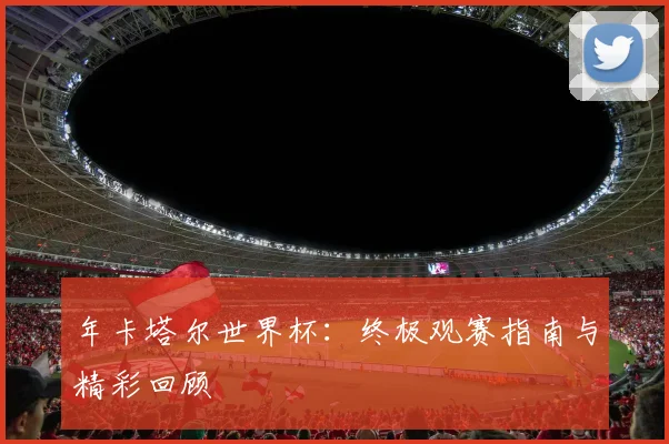 年卡塔尔世界杯：终极观赛指南与精彩回顾
