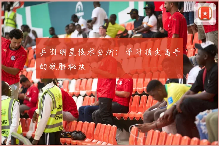 乒羽明星技术分析：学习顶尖高手的致胜秘诀