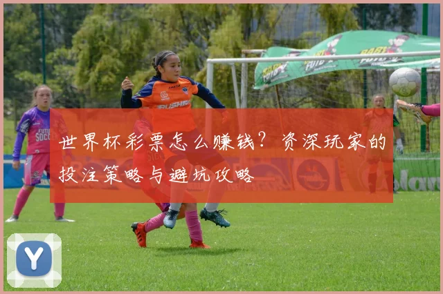 世界杯彩票怎么赚钱？资深玩家的投注策略与避坑攻略