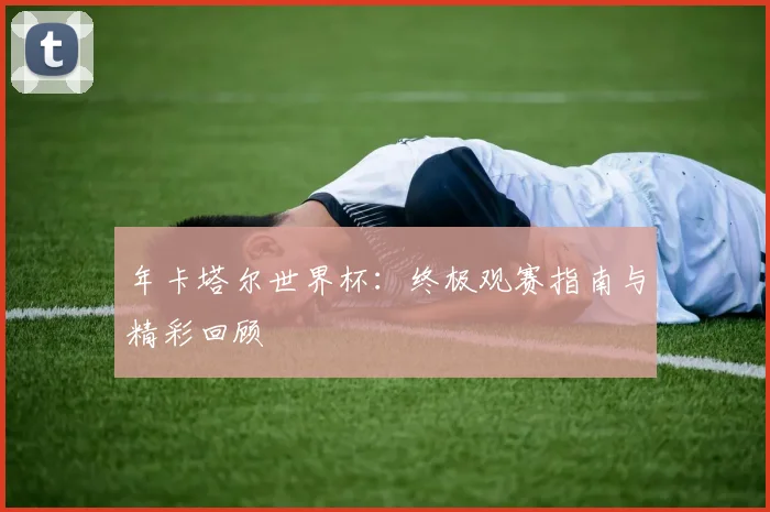 年卡塔尔世界杯：终极观赛指南与精彩回顾